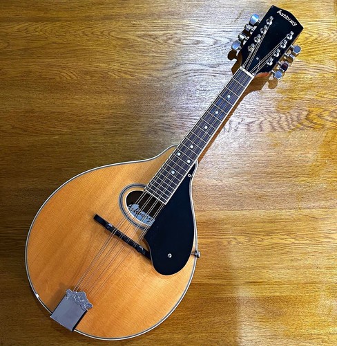 Ashbury style 8 - ashbury, 8-string